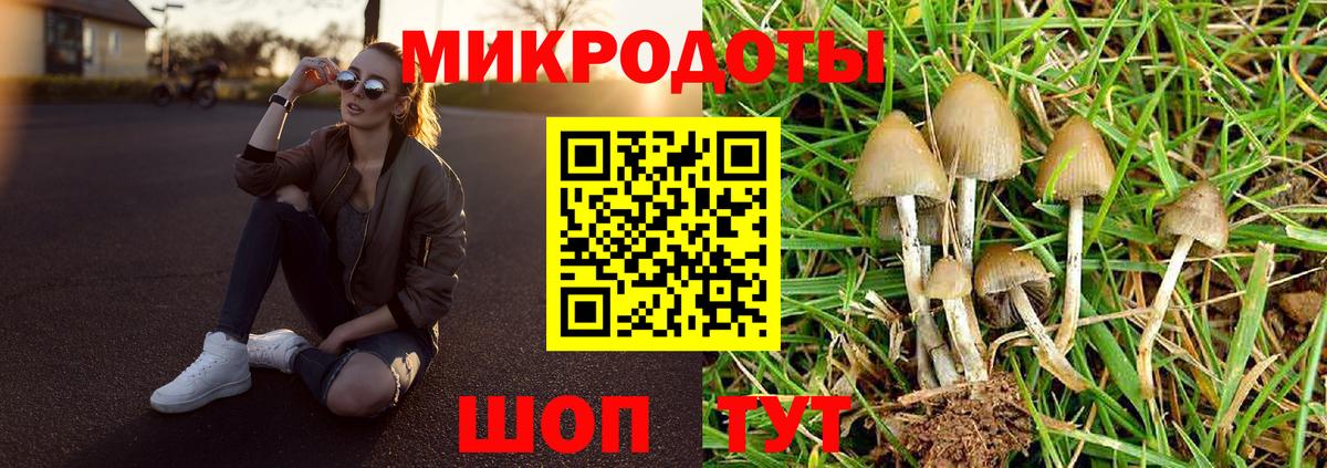 Псилоцибиновые грибы прущие грибы Щёлково